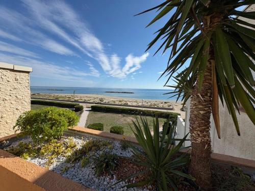 Le Barcarès, studio pour 2, terrasse, parking, animaux bienvenus, accès direct plage - FR-1-799-1