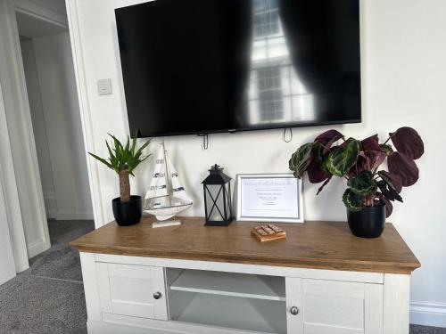 a tv on a wall with two potted plants at Seaside stay in Teignmouth in Teignmouth