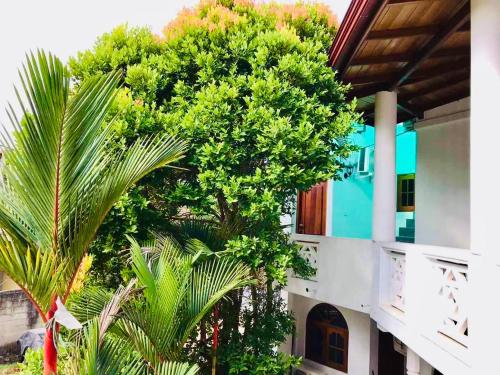 a palm tree in front of a house with a building at Coastal Cloud Backpackers Villa in Unawatuna