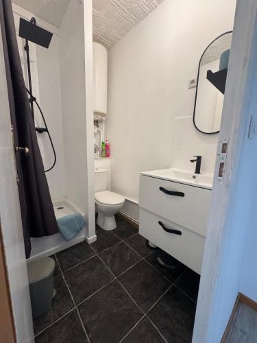 a bathroom with a toilet and a sink and a mirror at Le cocon aux portes des remparts in Boulogne-sur-Mer
