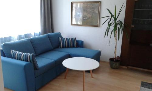 a blue couch and a table in a living room at Ferienwohnung Brigitte in Bad Mitterndorf