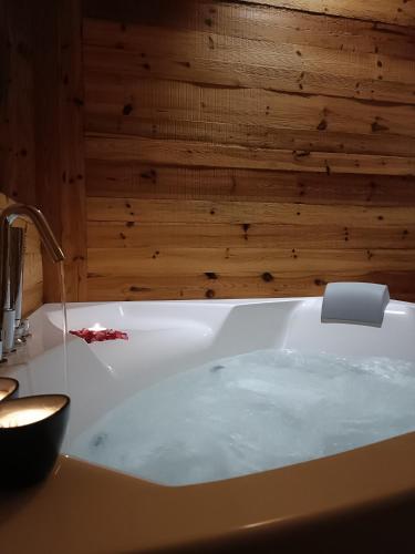 a bath tub in a bathroom with a wooden wall at Casa Alpina in Cavalese