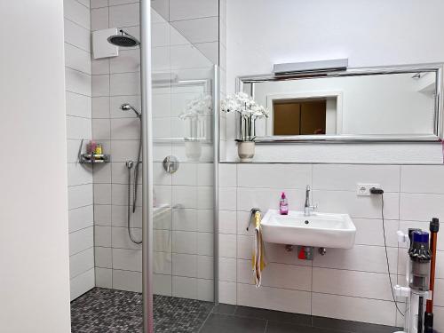 une salle de bain avec douche et lavabo dans l'établissement Ferienwohnung Seeperle, à Bad Zwischenahn