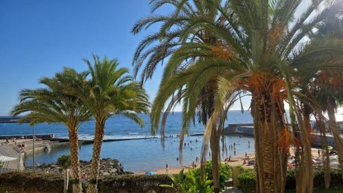 Blick auf einen Strand mit Palmen und das Meer in der Unterkunft La paz del Mar en Arguineguin in Arguineguín