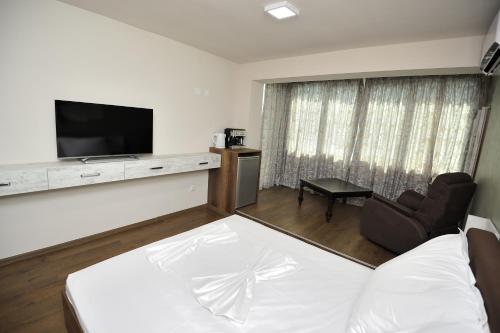 ヴァルナ・シティにあるPoshta 1 Apartment 3のベッドルーム(ベッド1台、テレビ、ソファ付)
