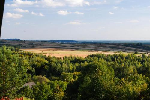 an aerial view of a field and trees at Polana in Lipowiec