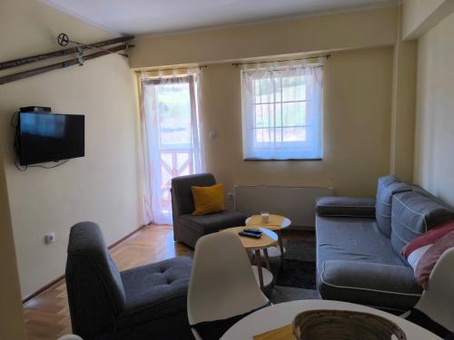een woonkamer met twee banken en een tv bij Apartman Djole in Brzeće