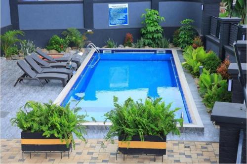 a swimming pool with chairs and plants in a courtyard at Black Stone villa in Taba