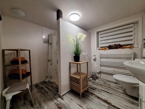 a bathroom with a sink and a toilet at FeWo Am alten Holzplatz in Drübeck