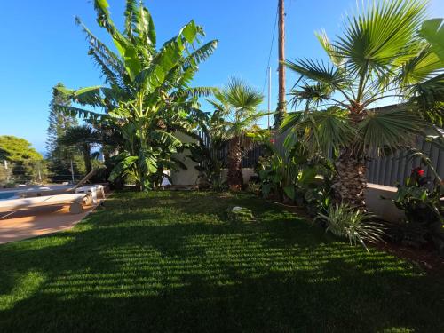 a yard with palm trees and a building at Rastoni Suites Xylokastro 1 in Melission