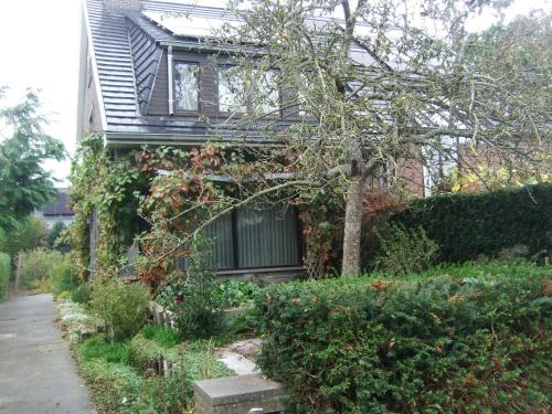 Zahrada ubytování Bij het station van Drongen