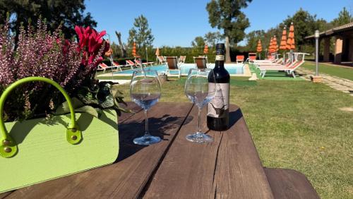 Alma del Lago - Charming Apartments- il Carpignone