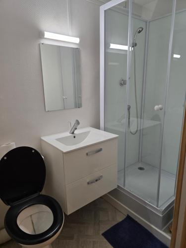 a bathroom with a toilet and a sink and a shower at les chambres de Mémé in Bonnat