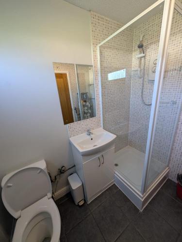 a bathroom with a toilet and a shower and a sink at 246, Two bed Chalet on Belle Aire Holiday Park - sleeps 5, pet friendly, free Wi-Fi, bed linen and towels included plus onsite entertainment available in Great Yarmouth