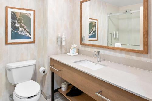 a bathroom with a sink and a toilet and a mirror at Hampton Inn Gainesville-Haymarket in Gainesville