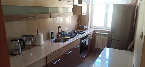 a small kitchen with a sink and a stove at Apartament u Basi in Sanok