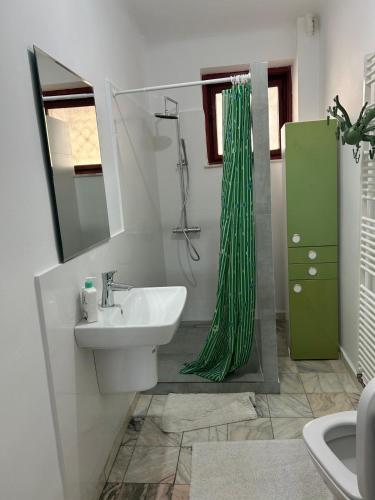 a bathroom with a sink and a green shower curtain at Stela's Home in Ploieşti