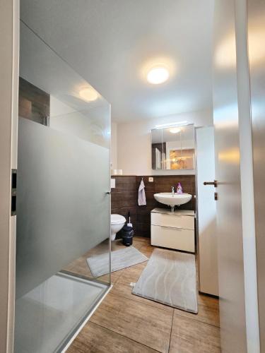 a bathroom with a toilet and a sink at Moritz Apartments - Pfarrgasse 11 in Küllstedt