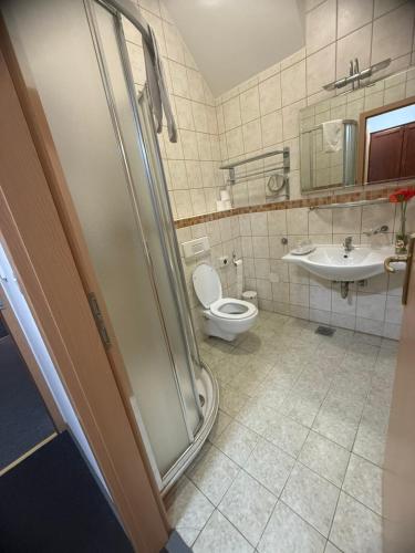 a bathroom with a toilet and a sink at Hotel Višnjica in Španat