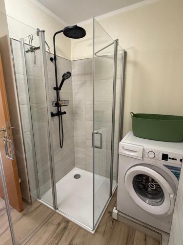 een douche in een badkamer met een wasmachine bij Ferienwohnung in den Mühlgärten in Dahn