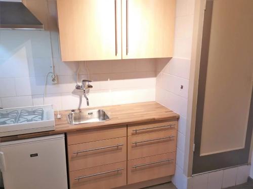 a small kitchen with wooden cabinets and a sink at Studio 't Krekeltje in Westkapelle