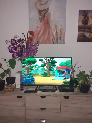 a tv sitting on top of a dresser with plants at Home in Kraljevo