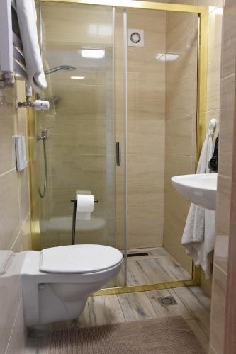 a bathroom with a toilet and a shower and a sink at Pokoje Mira in Torzym