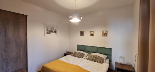 ザジェチェにあるUroczysko nad Jeziorem Żywieckimのベッドルーム1室(緑のヘッドボード付きのベッド1台付)