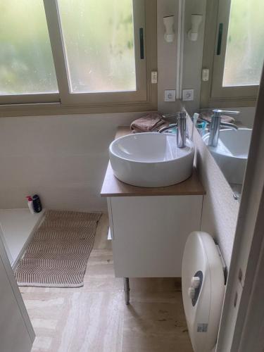 Clim Jardin et parking privé -piscine tennis et Park Vue mer في جراس: حمام مع مغسلة بيضاء ومرآتين