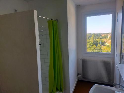 a bathroom with a green shower curtain and a window at les terrasses du Thouet in Parthenay