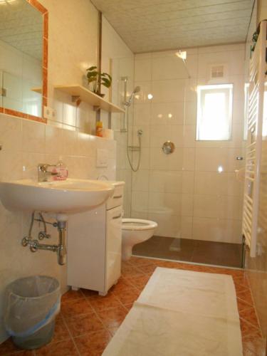 a bathroom with a sink and a toilet and a shower at Ferienhaus Dengg in Hippach