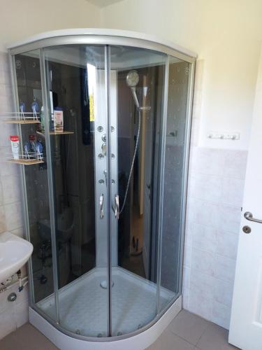 a shower with a glass door in a bathroom at Virágos Lakás in Győr