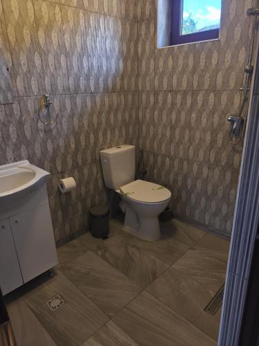 a bathroom with a toilet and a sink at Vila Smeu in Dubova