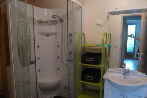 a bathroom with a shower and a sink at Studio Barcelonnette Ubaye, Provence in Enchastrayes