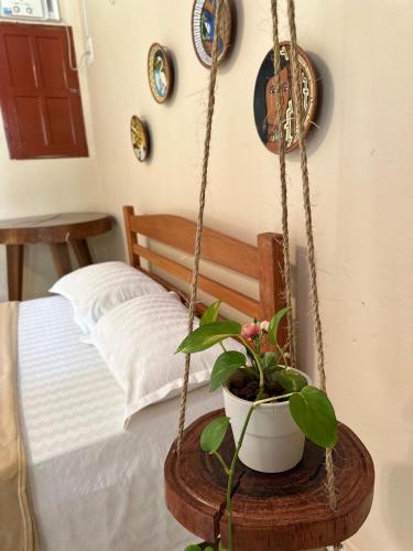 un'altalena con una pianta in vaso su un tavolo accanto a un letto di Abraço Verde Complexo Turístico a Presidente Figueiredo