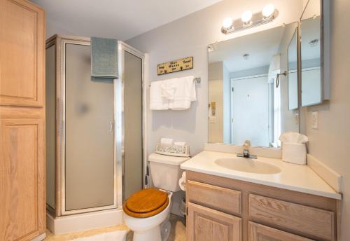 a bathroom with a toilet and a sink and a shower at 28 Lodge in Hood River