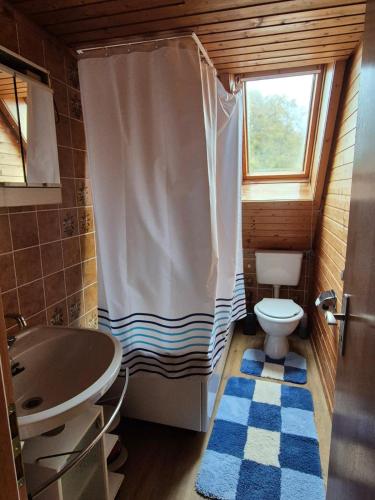 a bathroom with a shower and a toilet and a sink at Spitzbodennest am Wald in Osnabrück