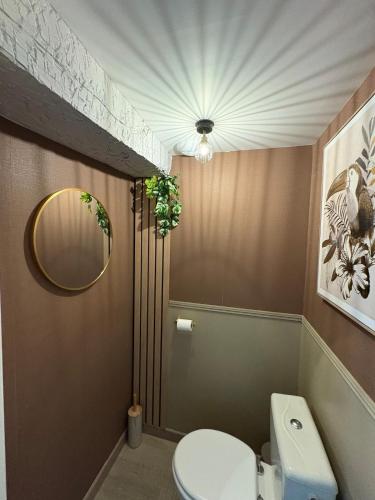 a bathroom with a toilet and a mirror at Cléanounette du Morvan in Saulieu
