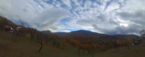 a view of a valley with trees and a mountain at ROOMSbyVOJKAN in Pljevlja