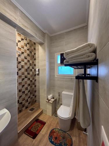a bathroom with a toilet and a sink and a shower at Golden Sun House II in Abu Simbel