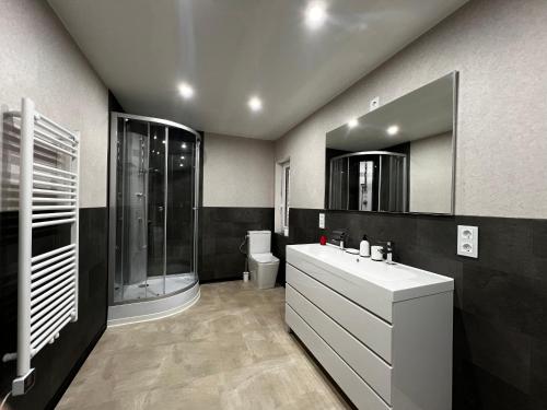 Un baño con lavabo, ducha e inodoro. en Landhaus Himmelsbach 22, en Beuernfeld