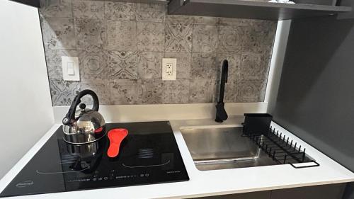 Kuchyň nebo kuchyňský kout v ubytování New Boutique Loft-Escalante