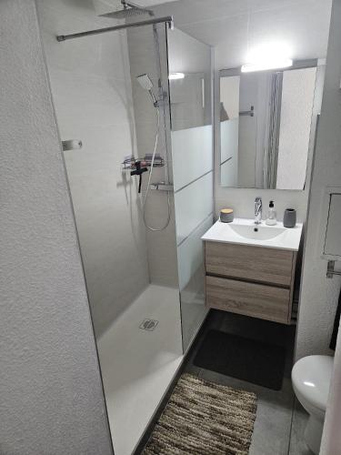Appartement T2 dans jolie résidence avec piscine