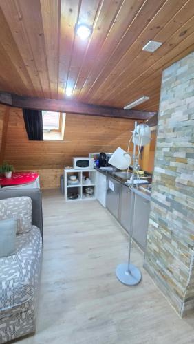 Attic Loft with rooftop terrace!