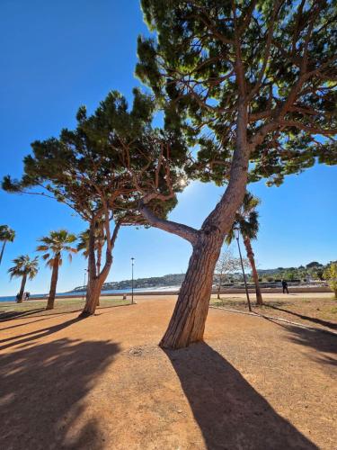 Foch Riviera, séjour d'exception sur Antibes, T3 4 à 6 personnes