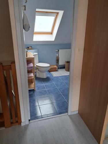 a bathroom with a toilet and a window at Studio des cygnes in Le Mans