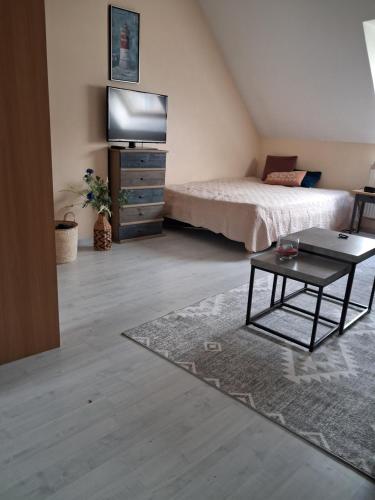 a bedroom with a bed and a tv and a table at Studio des cygnes in Le Mans