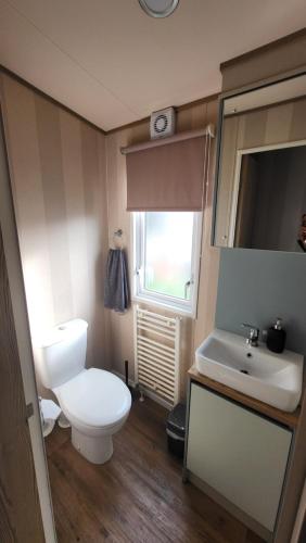 a bathroom with a white toilet and a sink at East Lothian Escape in Port Seton