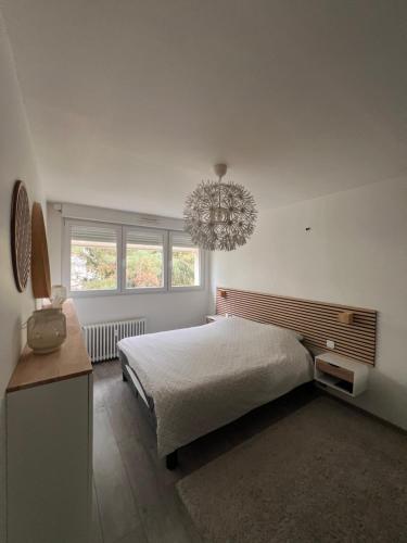 Appartement entier sympathique 45m2