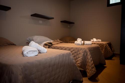 een kamer met twee bedden met handdoeken erop bij Apart Stay in El Calafate